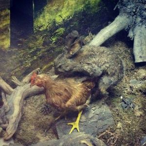 Meet your Posher, Alexis