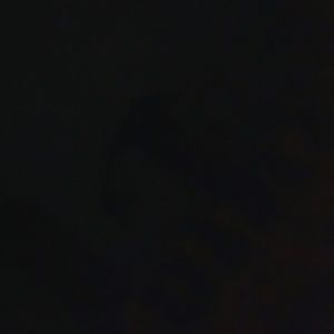 Meet your Posher, Brieanna