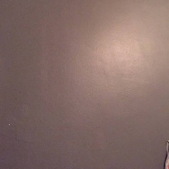 Meet your Posher, Hadley - Picture 1 of 1