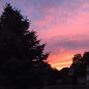 Meet your Posher, Lynden