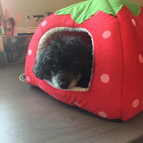 Meet your Posher, Elise - Picture 1 of 1