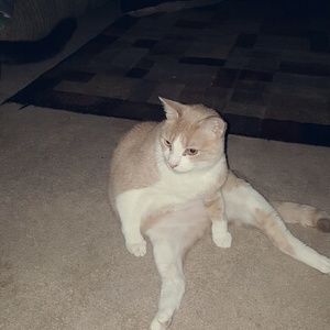 Meet your Posher, Marissa