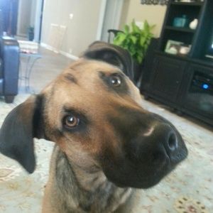 Meet your Posher, Lori