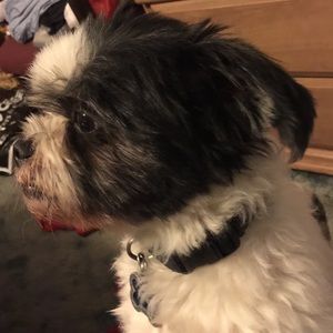 Meet your Posher, Tiffany