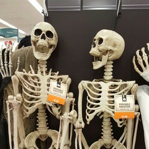 Meet your Posher, Melanie