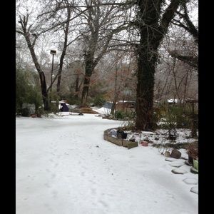 Meet your Posher, Brenda