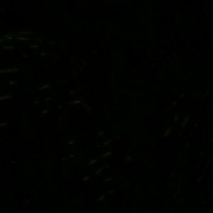 Meet your Posher, Ronisha