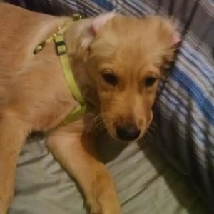 Meet your Posher, Tina