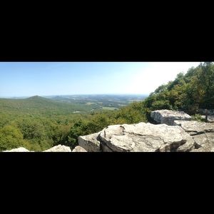 Meet your Posher, Liz