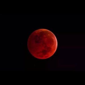 Meet your Posher, Tony