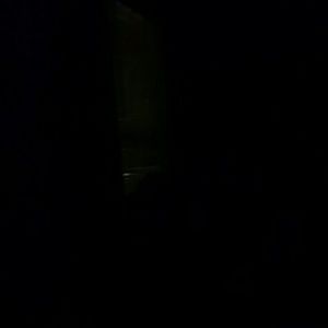 Meet your Posher, Cody