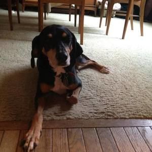 Meet your Posher, Kristin