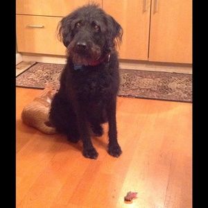 Meet your Posher, Meg