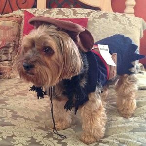 Pirate Doggie Costume