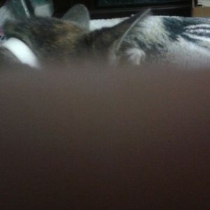 Meet your Posher, Kathryn