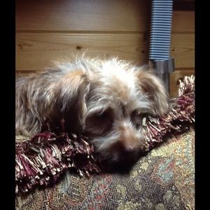 Meet your Posher, Sharon