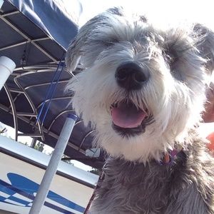 Meet your Posher, Leslie