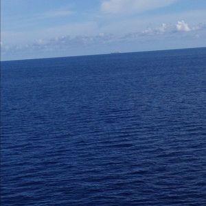 Meet your Posher, Katelin