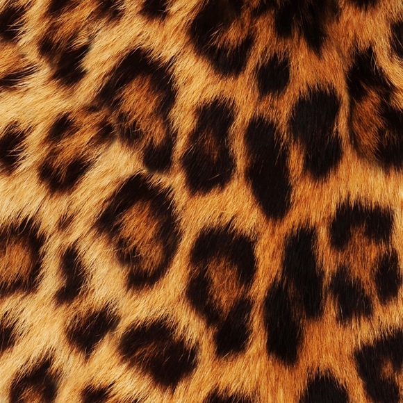 Meet your Posher, Crystal - Picture 1 of 1