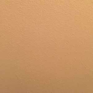 Meet your Posher, Joey