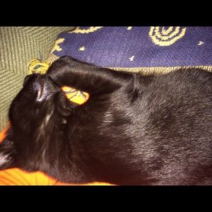 Meet your Posher, Danielle