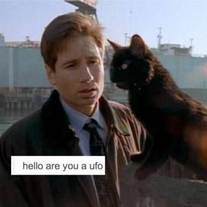 Meet your Posher, Douglas