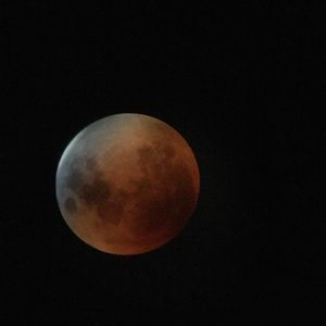 Meet your Posher, Vicky