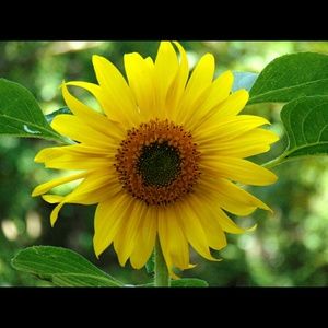 Meet your Posher, Phil