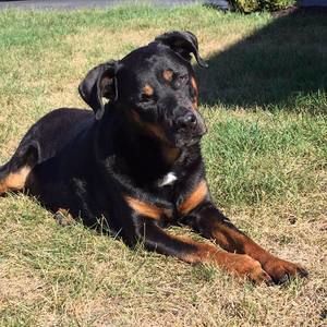 Meet your Posher, Tracy