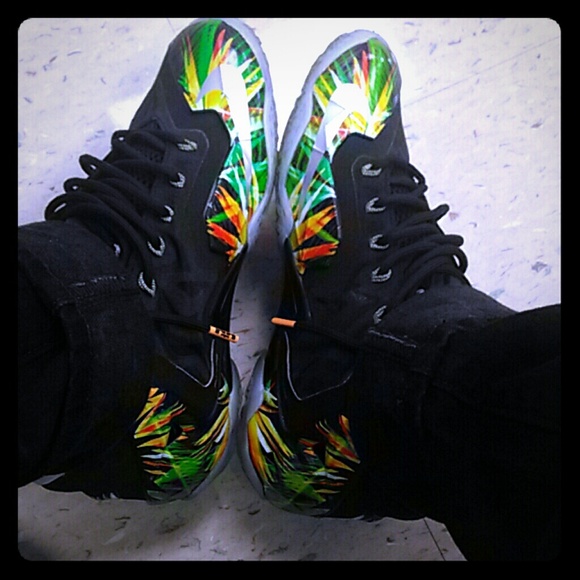 Lebron 11 everglades