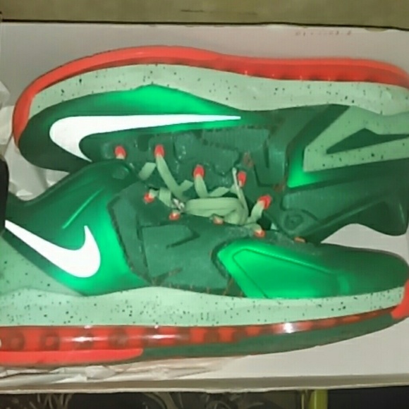 Nike lebrons 12
