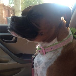 Meet your Posher, Sylvia