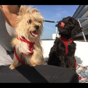 Meet your Posher, Jordan