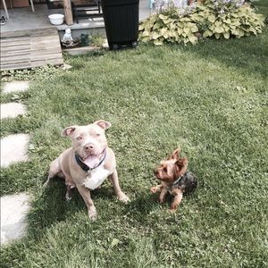 Meet your Posher, Mark