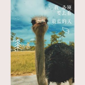 Meet your Posher, Yu an