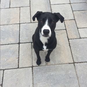 Meet your Posher, Rebecca