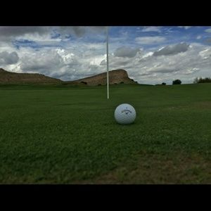 Meet your Posher, Ronnie