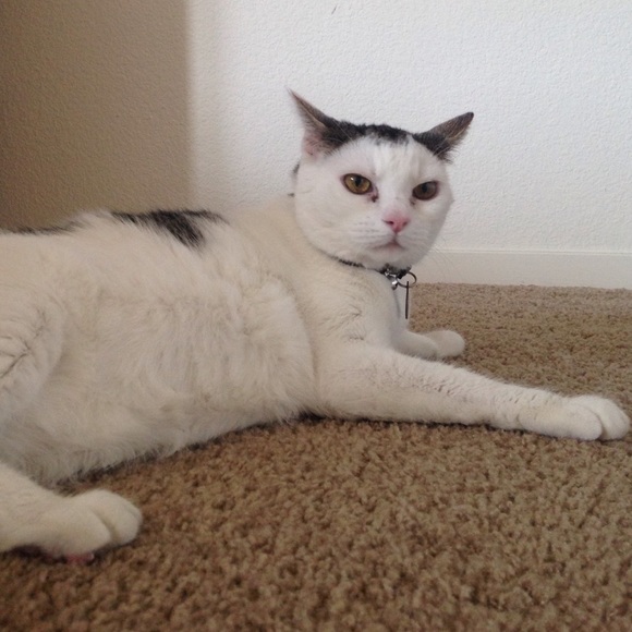 Meet your Posher, Erin