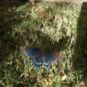 Meet your Posher, Kasey