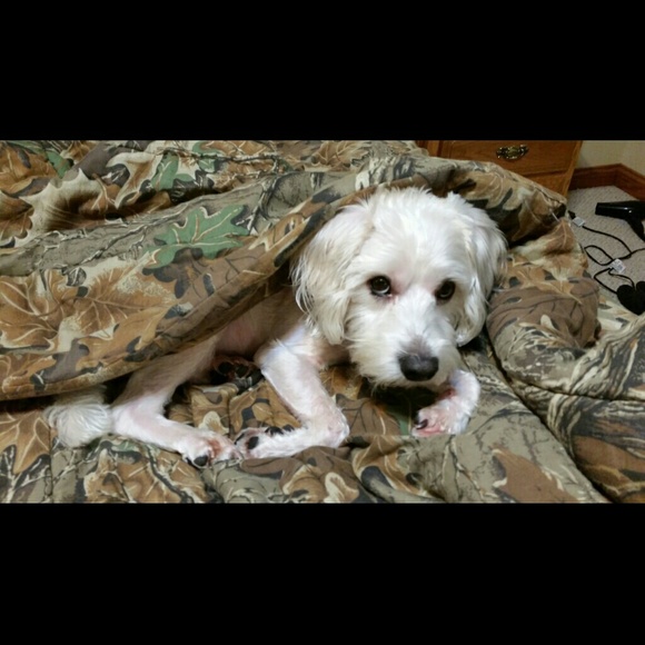 Meet your Posher, Beth