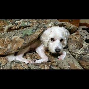 Meet your Posher, Beth