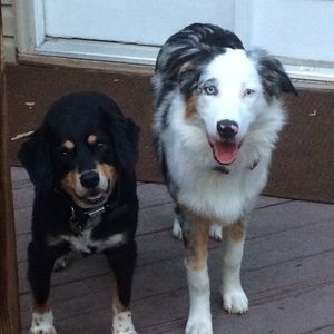 Meet your Posher, Ali