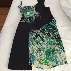 BCBG Maxazria Runway dress