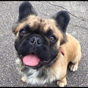 Meet your Posher, Matt