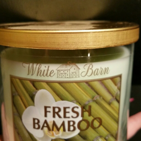 Fresh Bamboo Bath & Body Works 3 wick candle