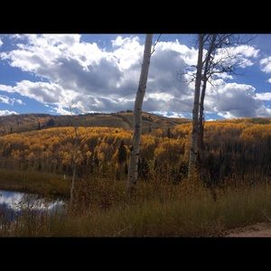 Meet your Posher, Aleasha