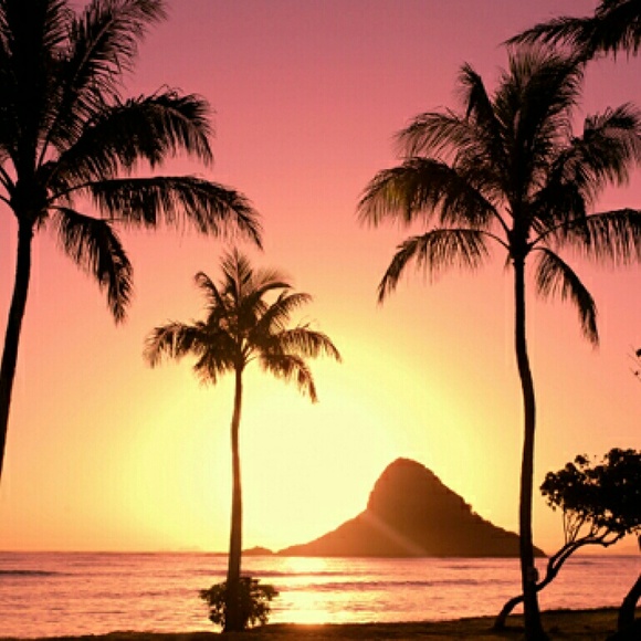 Meet your Posher, Joniel - Picture 2 of 4