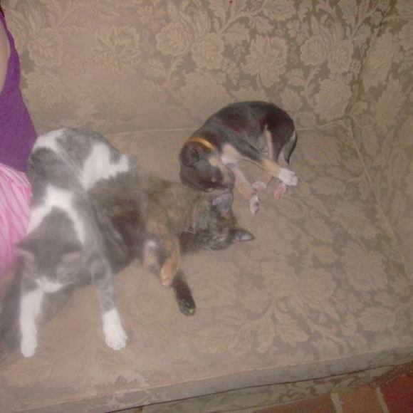 Meet your Posher, Dominica