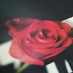 Meet your Posher, Wanda