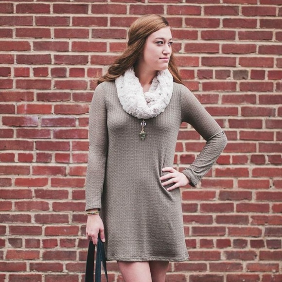 Meet your Posher, Sunny - Picture 4 of 4